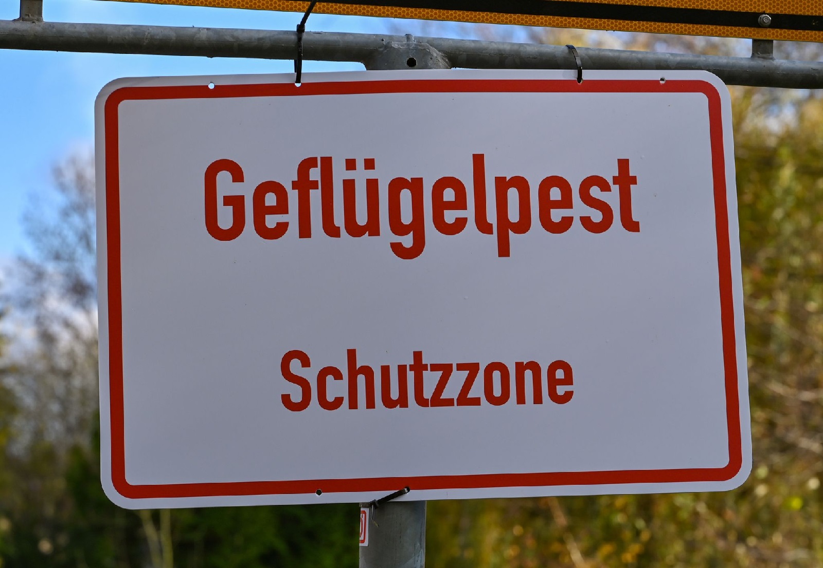 Schild Geflgelpest. (Foto: Patrick Pleul/dpa-Zentralbild/dpa)