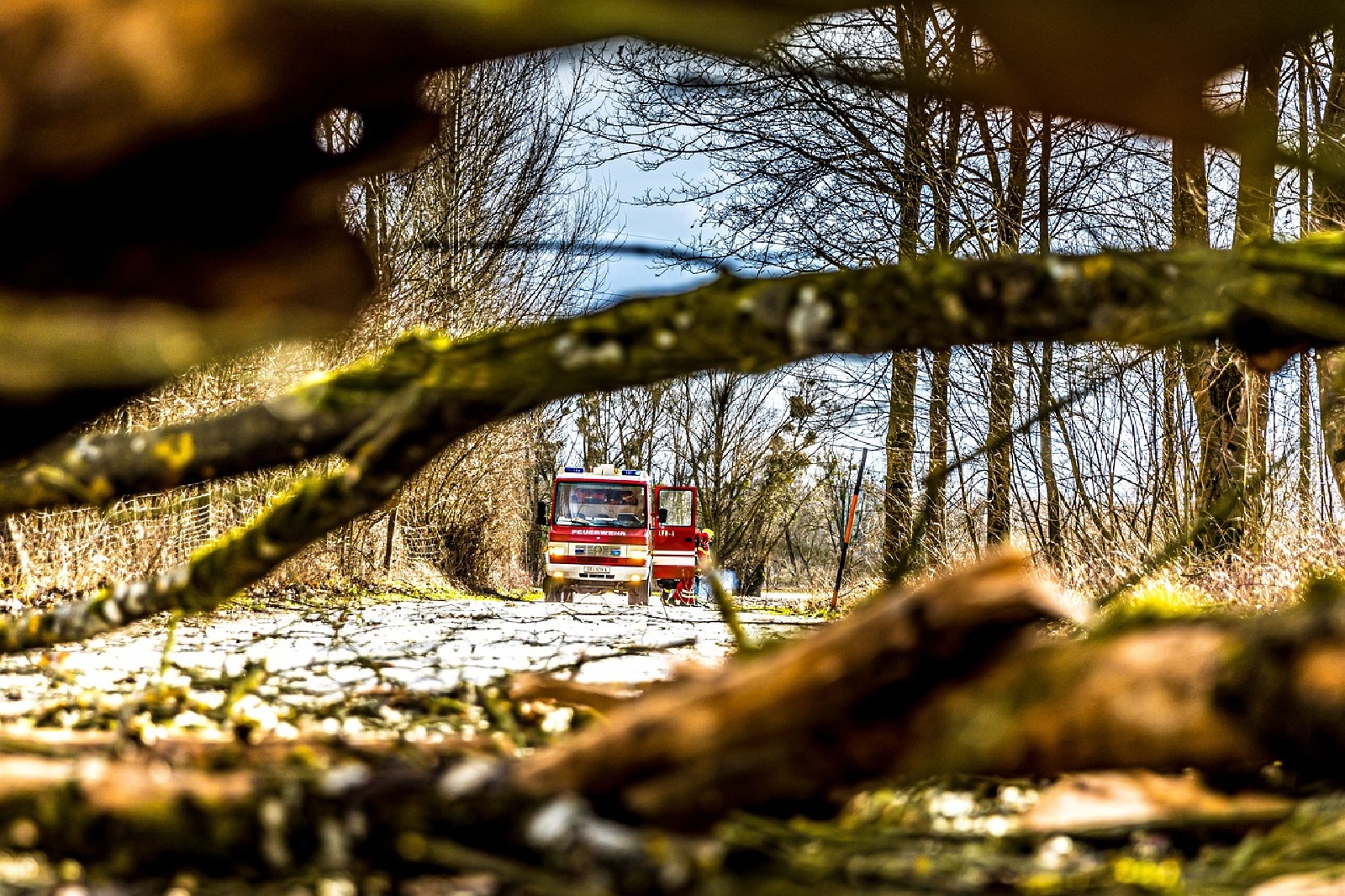 Symbolbild (Quelle: Pixabay)