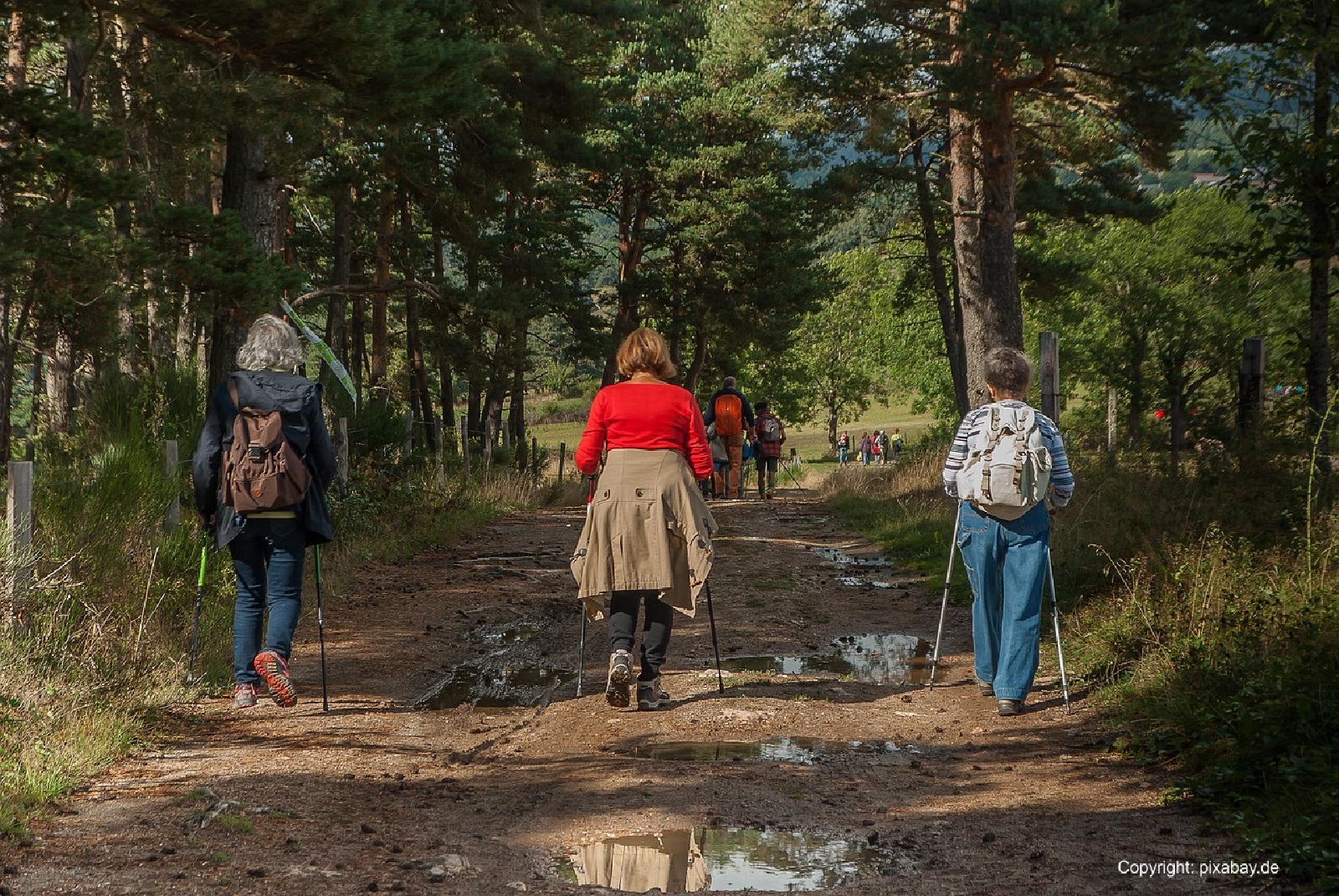 Herbstwanderung. (Fotoquelle: Martina Heibel-Gro)