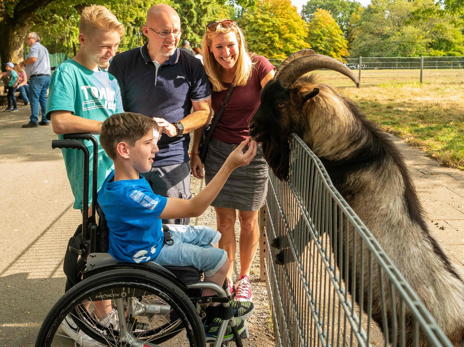Rundweg im Wildpark. (Foto: Dominik Ketz/Rheinland-Pfalz Tourismus GmbH)