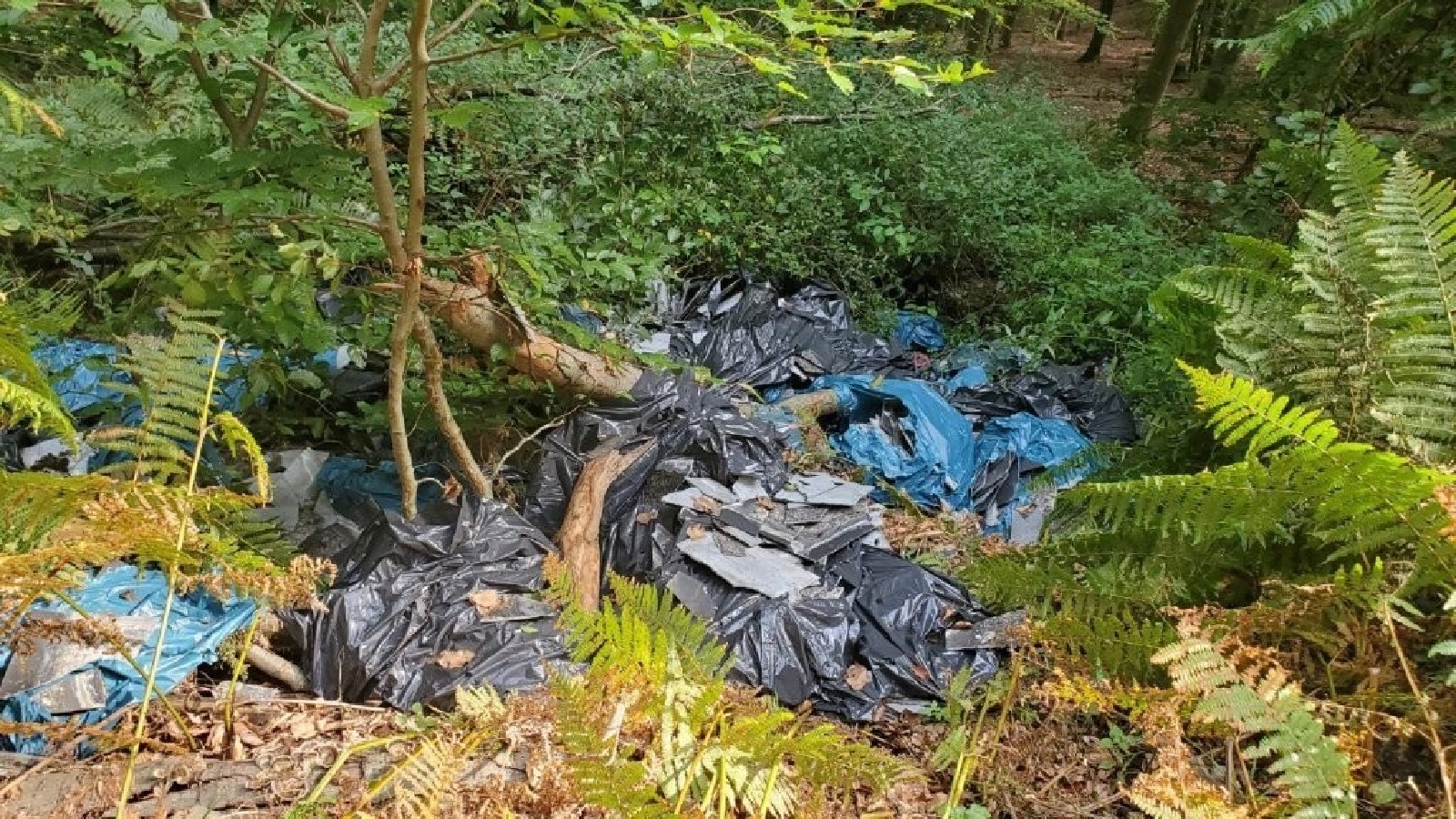 Illegale Entsorgung. (Fotoquelle: Kreisverwaltung des Westerwaldkreises)