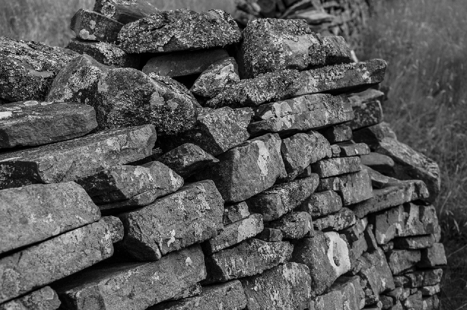 Symbolbild (Quelle: Pixabay)