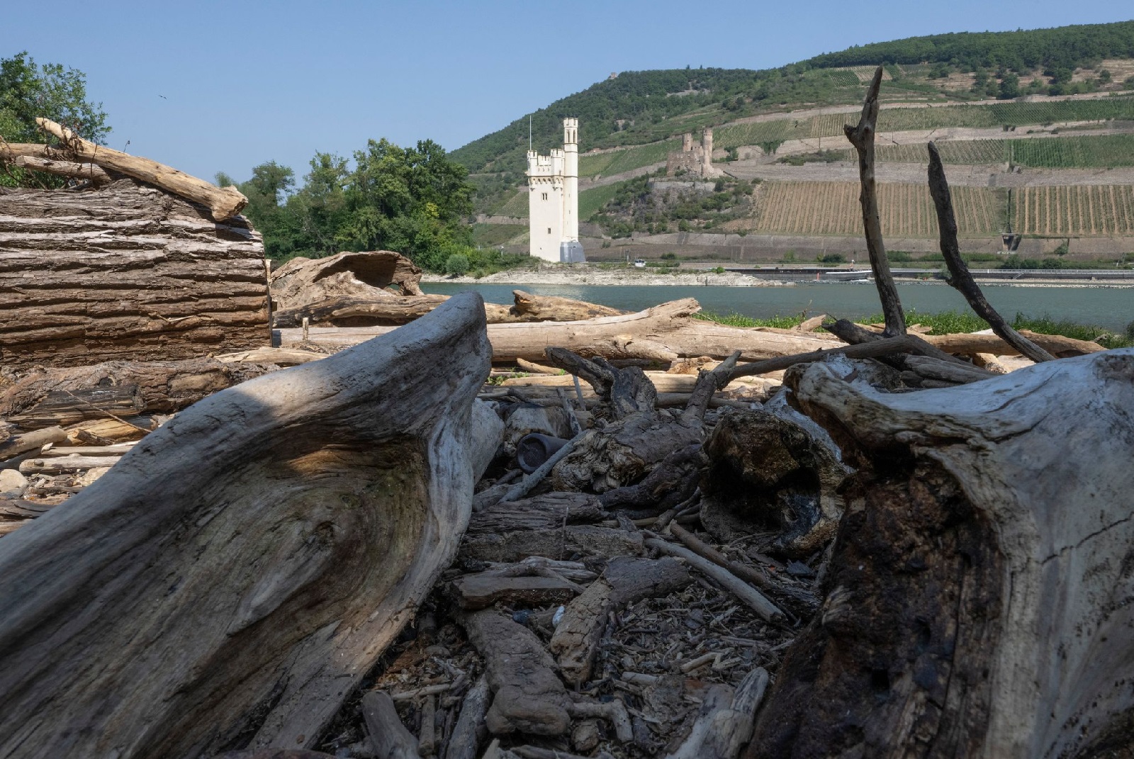 Binnenschifffahrt auf dem Rhein. (Foto: Boris Roessler/dpa)