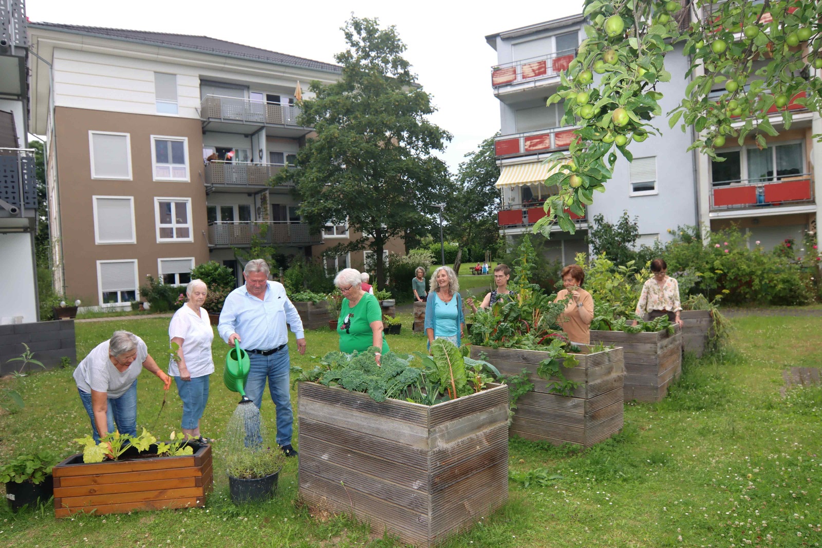 Gemeinschaftliches Wohnen in Neuwied: Ein Wohnkonzept mit Potenzial