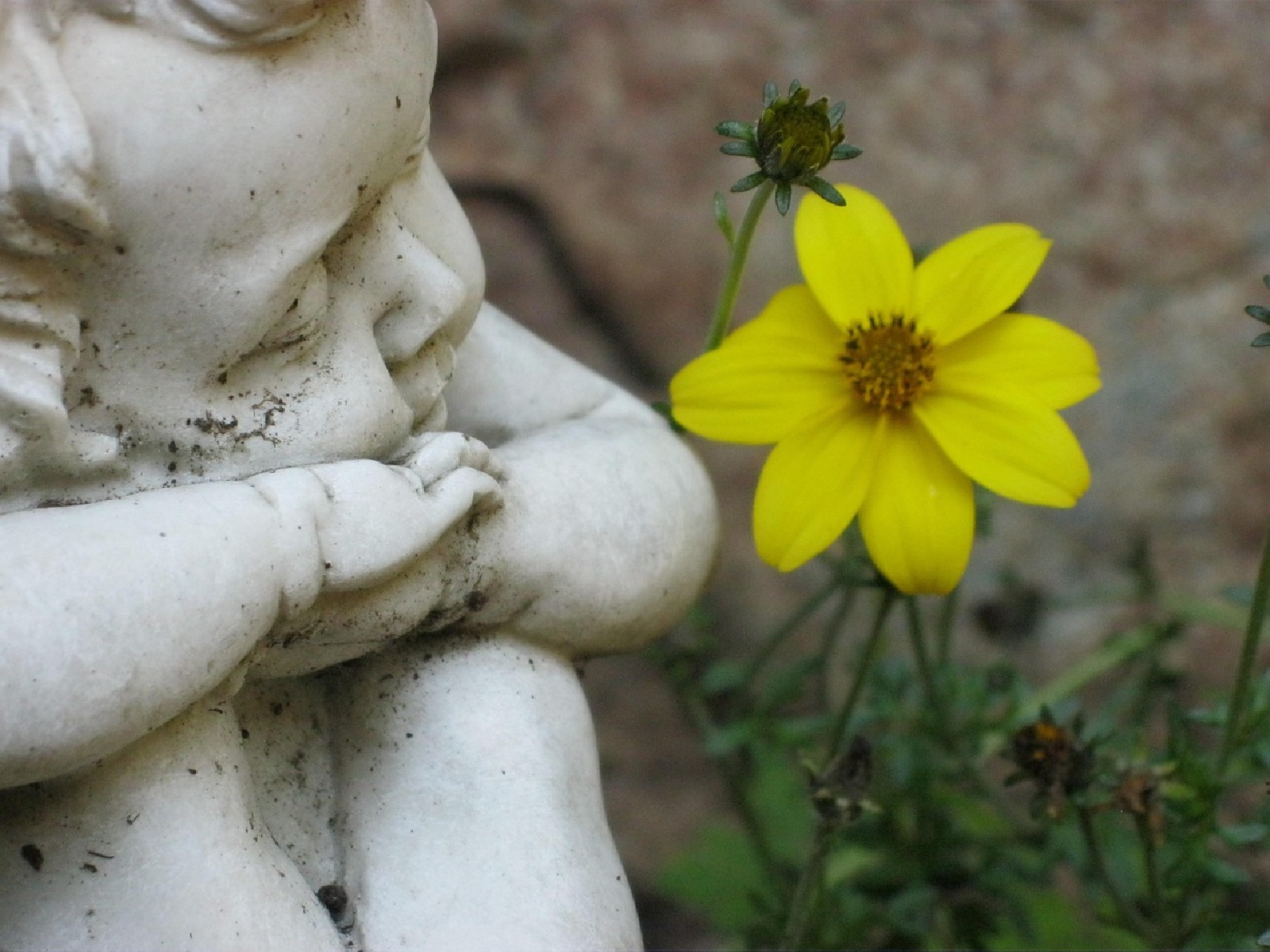 Symbolbild (Quelle: Pixabay)