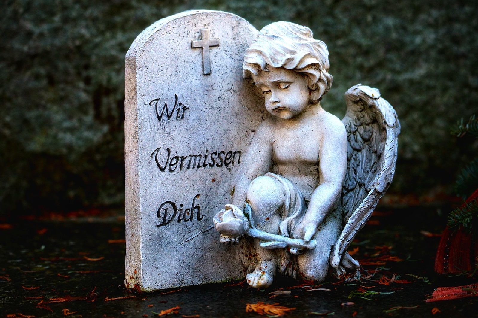 Symbolbild (Quelle: Pixabay)