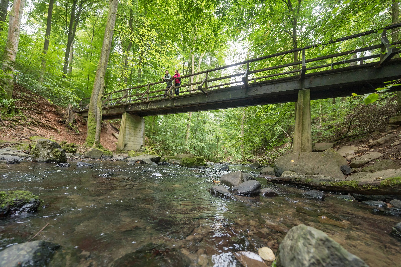 Die Holzbachschlucht. (Foto: Andreas Pacek)