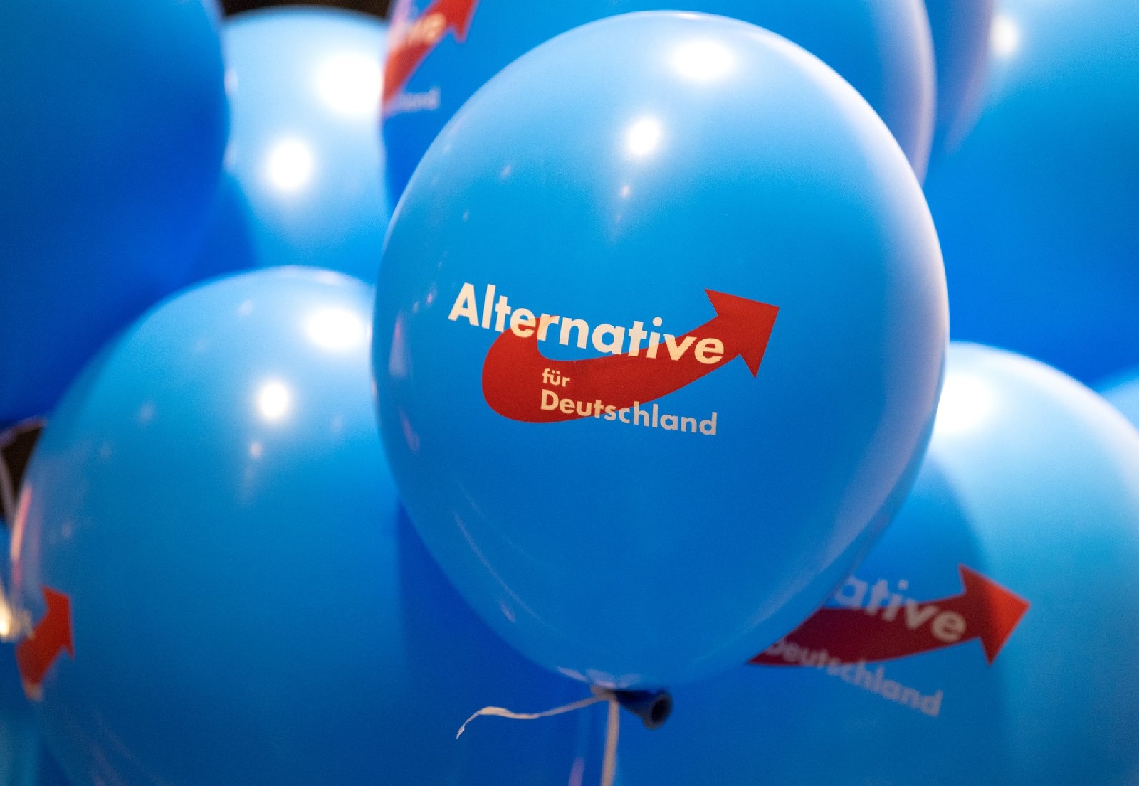 Neue Verordnung zur Verfassungstreue im ffentlichen Dienst sorgt fr Diskussionen