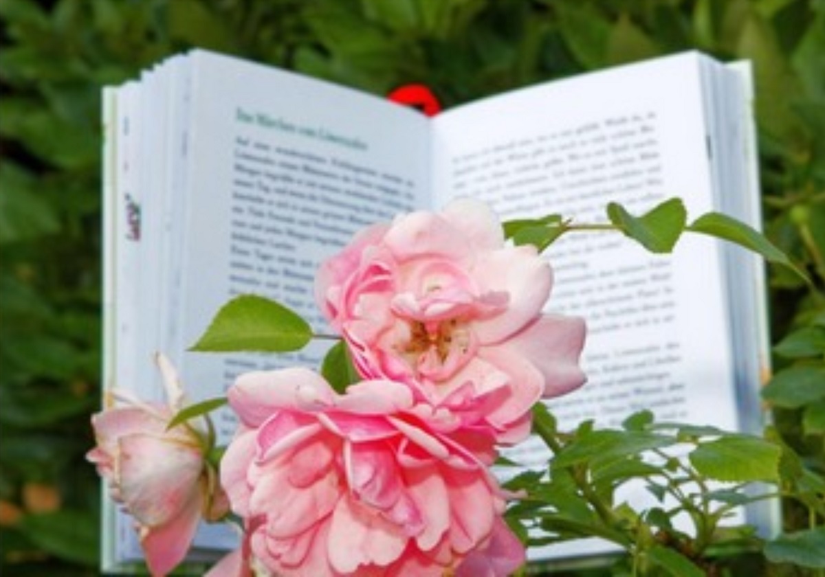 Literatur trifft Natur in Windeck: Lesung zwischen Blten und Bumen