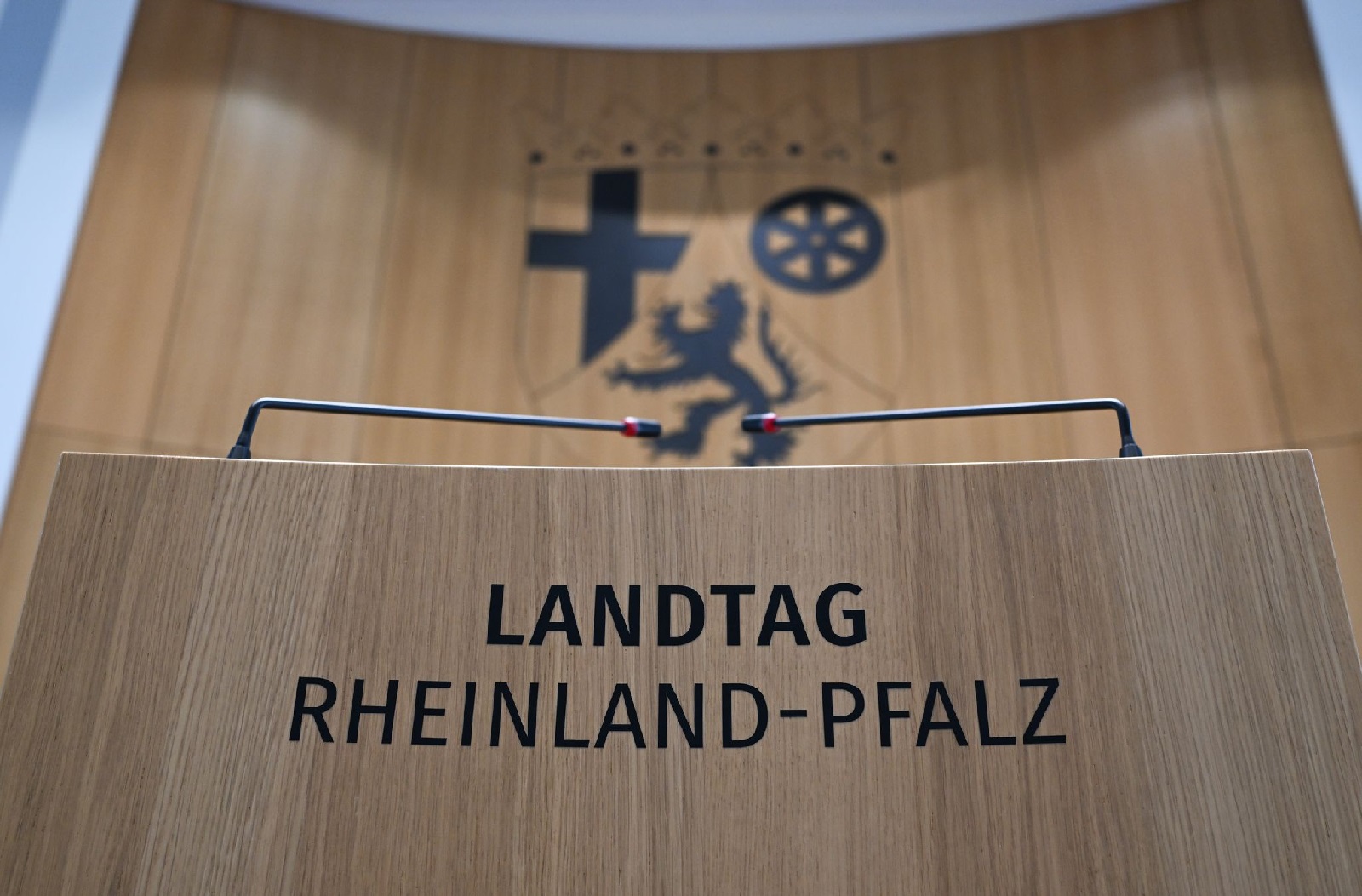 AfD-Fraktion in Rheinland-Pfalz droht hohe Rckzahlung