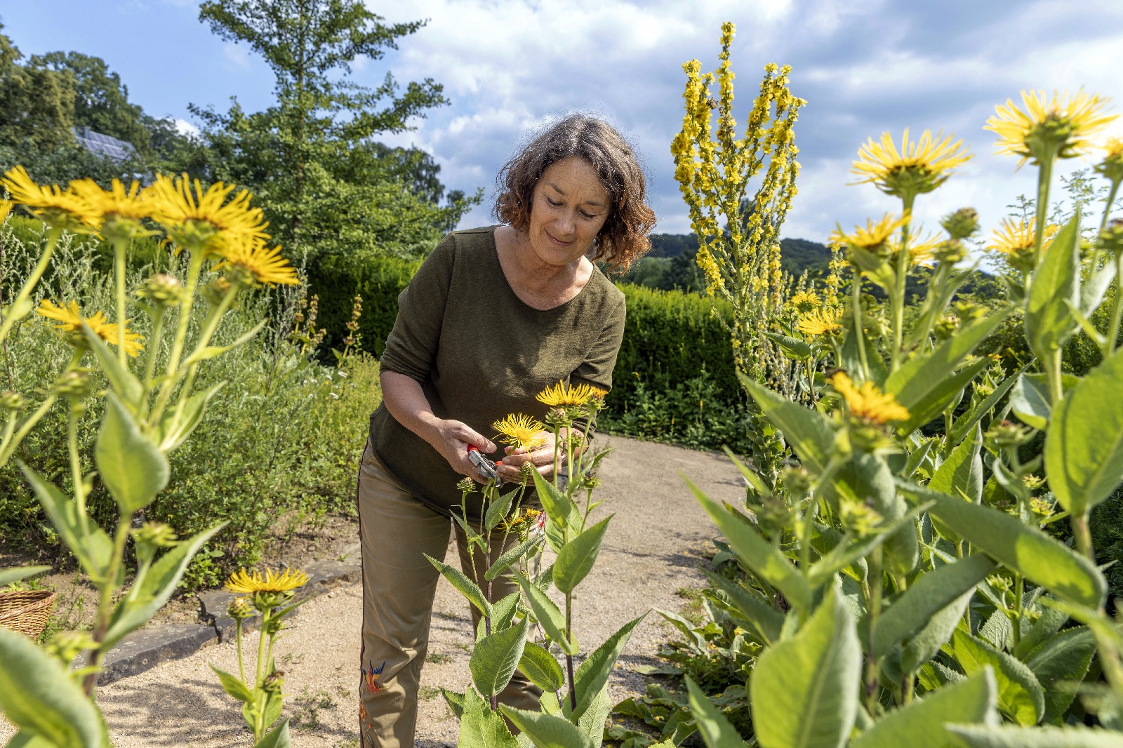 Im Krutergarten. (Foto: Rder-Moldenhauer)