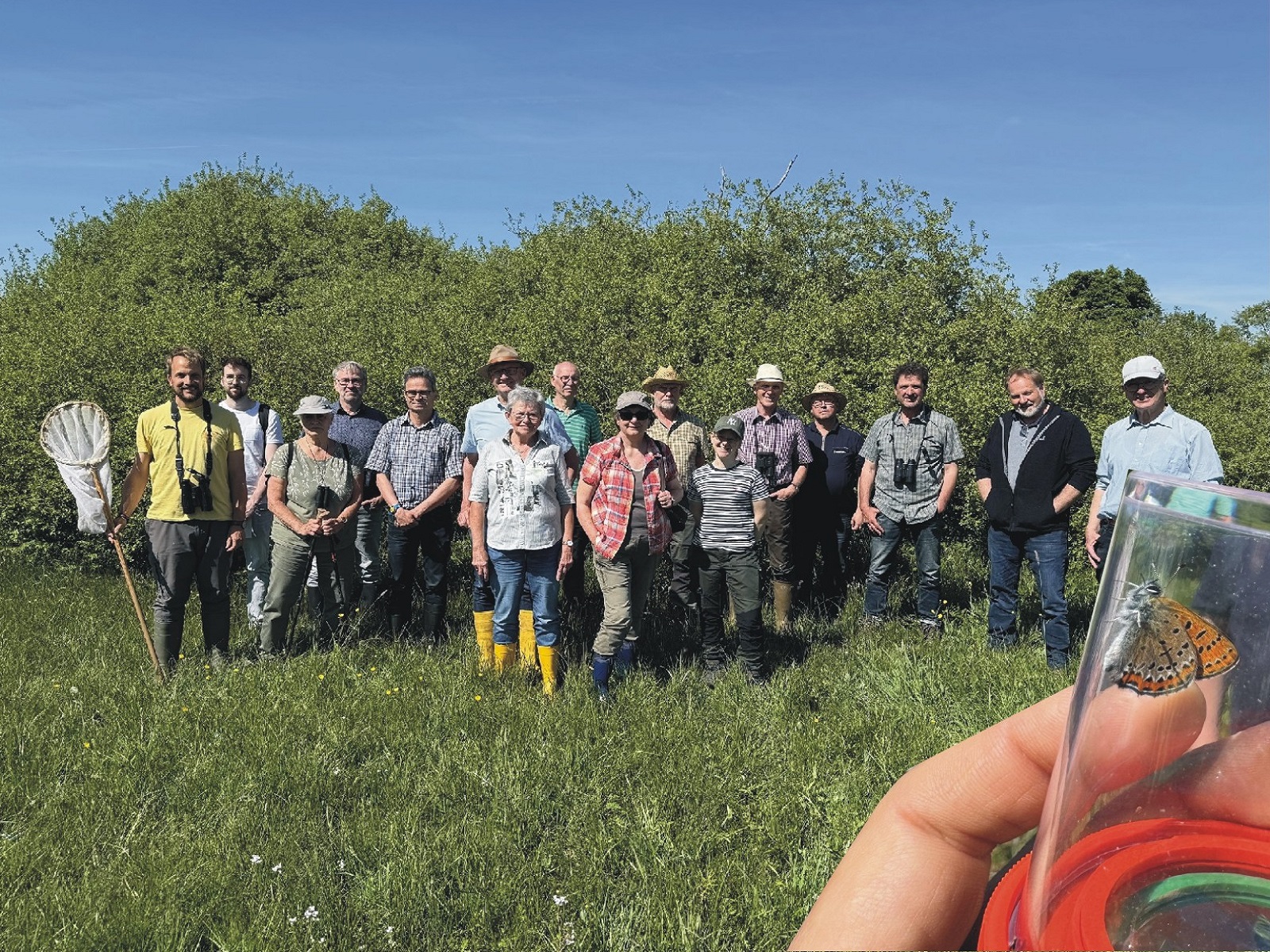 Das FFH-Gebiet Hoher Westerwald ist eines der bundesweit bedeutendsten Vorkommen des gefhrdeten Blauschillernden Feuerfalters. (Fotos: Kreisverwaltung/Christoph Brabender)