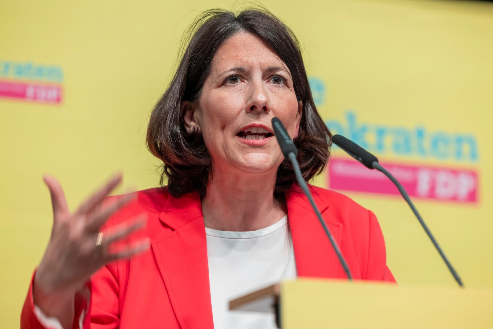 FDP Rheinland-Pfalz: Schmitt will Spitzenkandidatin werden