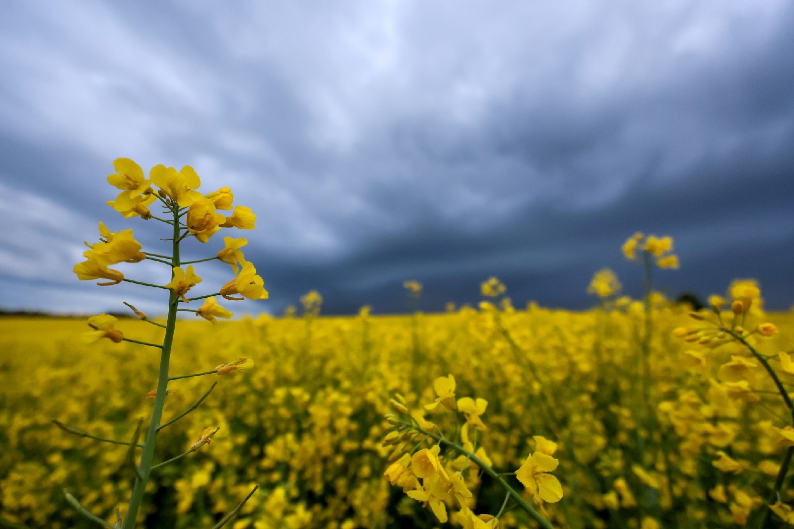 Wetter. (Foto: Thomas Warnack/dpa)