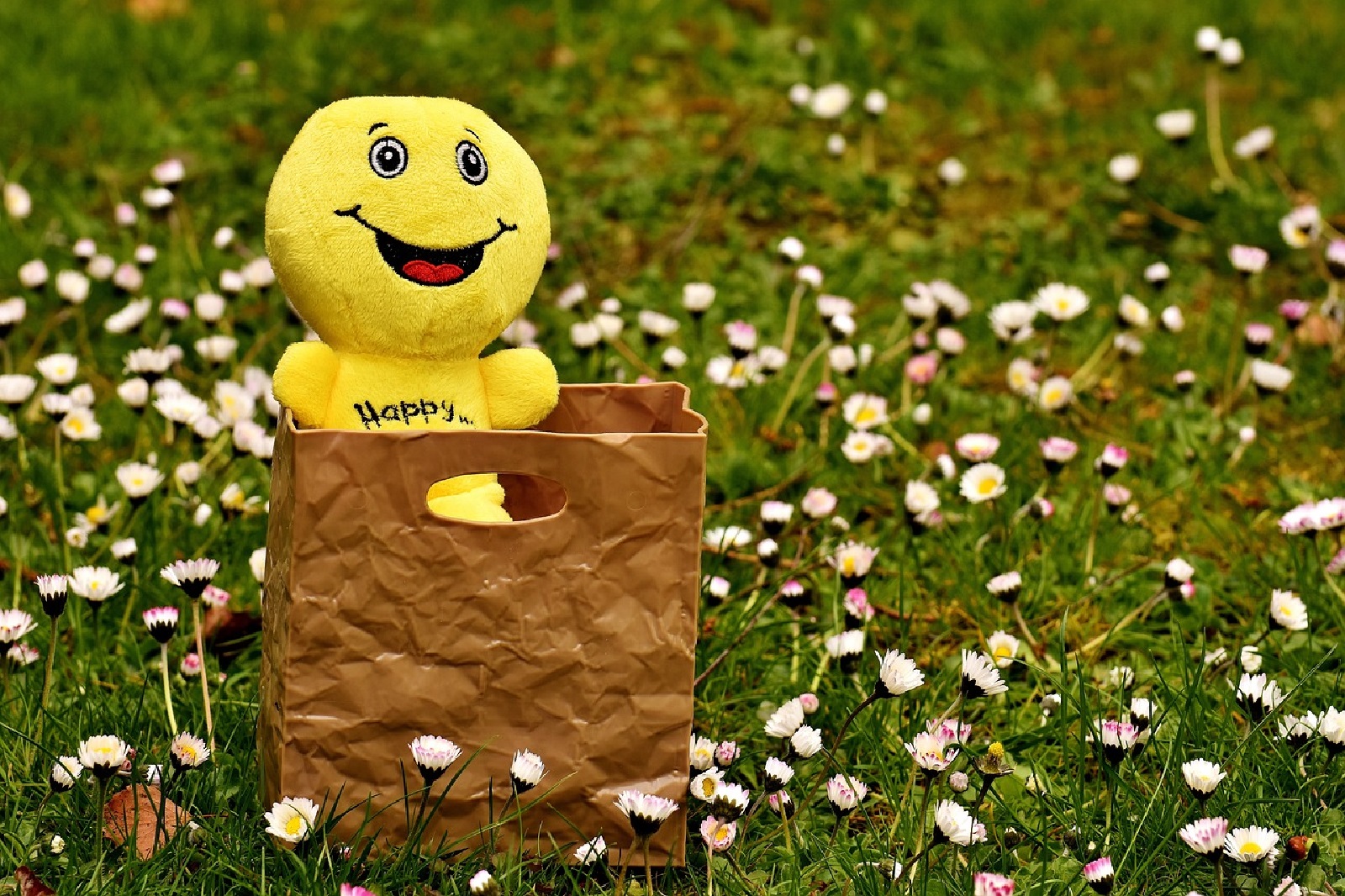 Symbolbild (Quelle: Pixabay)
