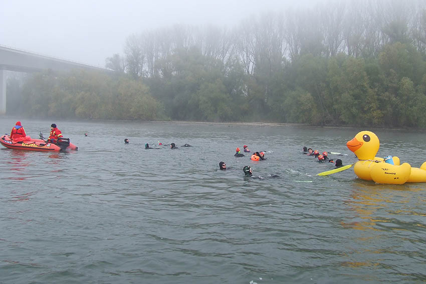 DLRG-Stromschwimmen im Rhein fand zum 46. Mal statt