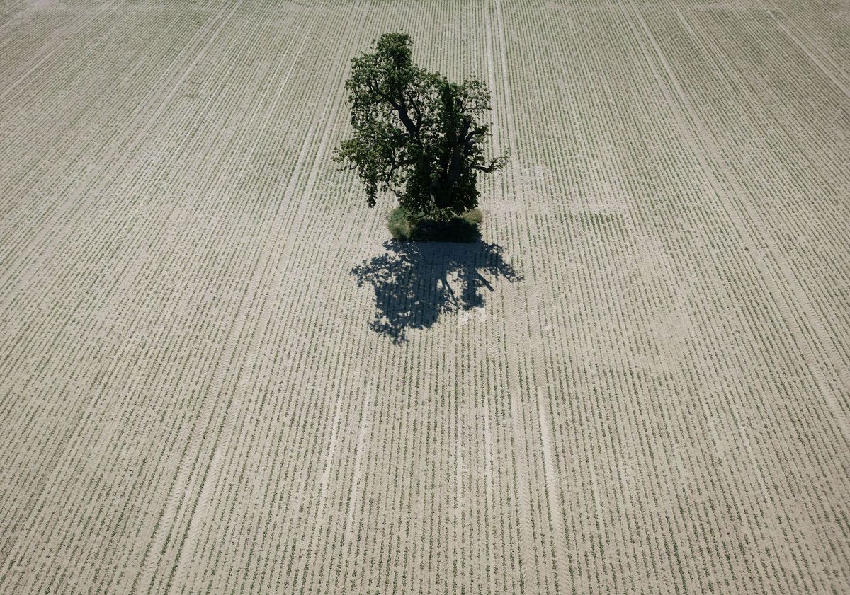 (Foto: Boris Roessler/dpa)