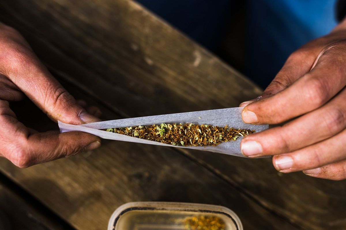 Cannabis-Anbau in Rheinland-Pfalz: Erfolgreiches Jahr fr ersten Verein