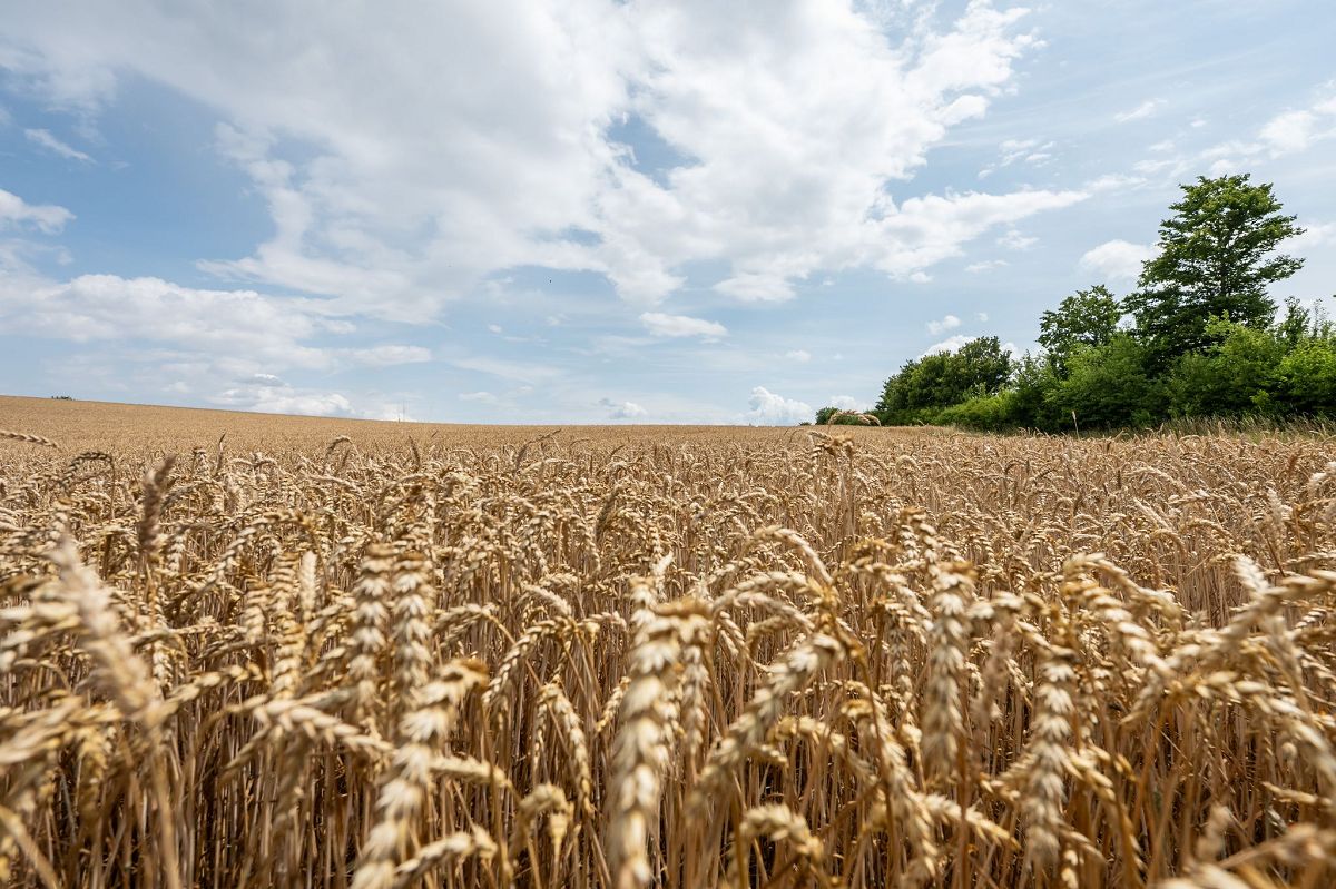 Sommerliche Temperaturen kehren nach Rheinland-Pfalz zurck