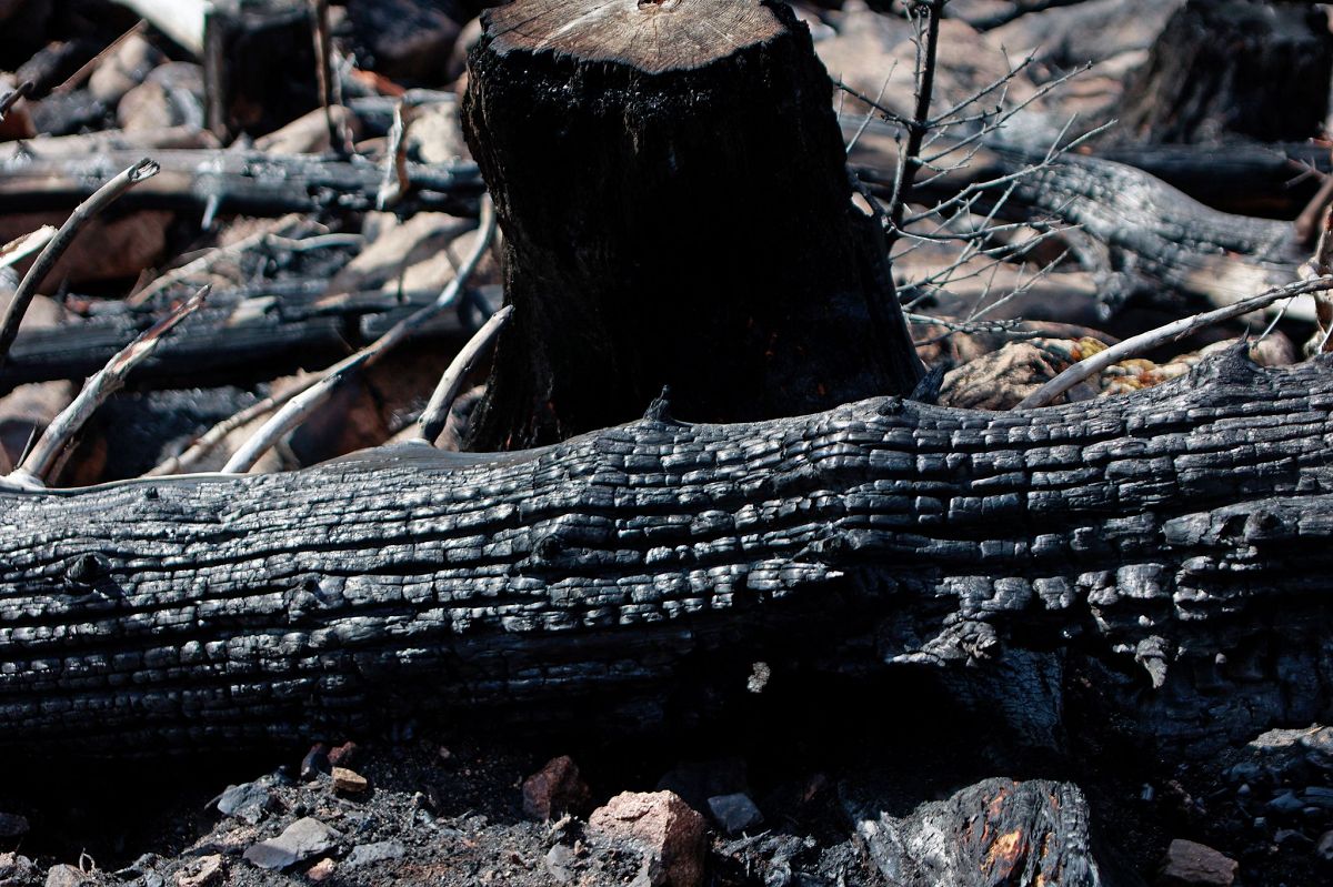 Trockenheit in Rheinland-Pfalz: Mittlere bis hohe Waldbrandgefahr