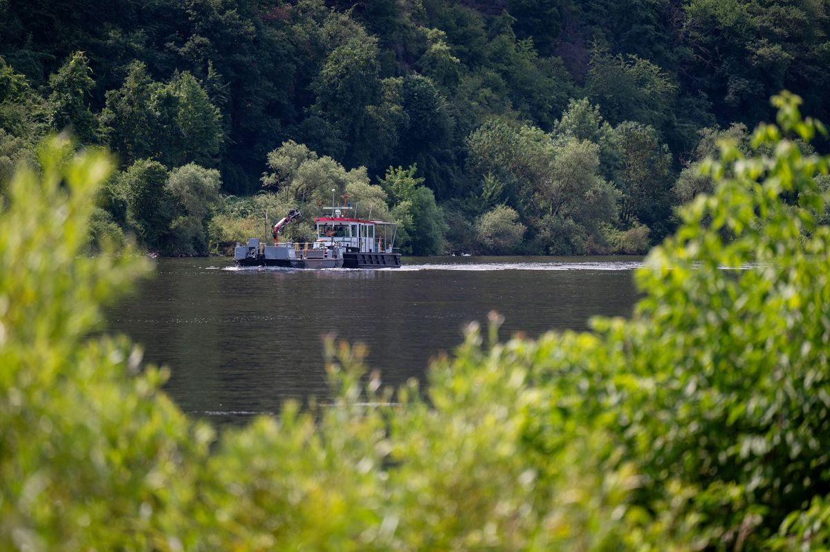 Unbestndiges Wetter im Sden  Sommer bleibt im Norden von Rheinland-Pfalz und Saarland ruhig