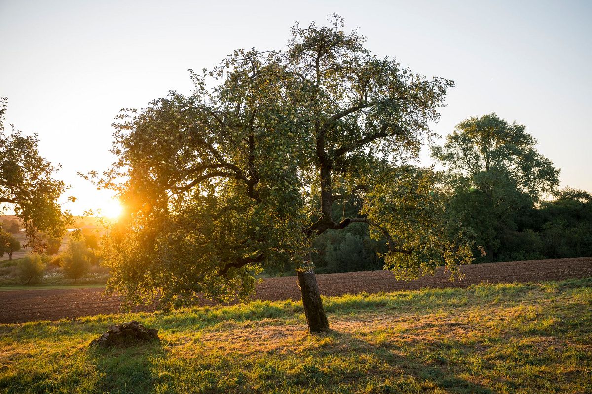 Sptsommer-Comeback in Rheinland-Pfalz: Bis zu 29 Grad erwartet