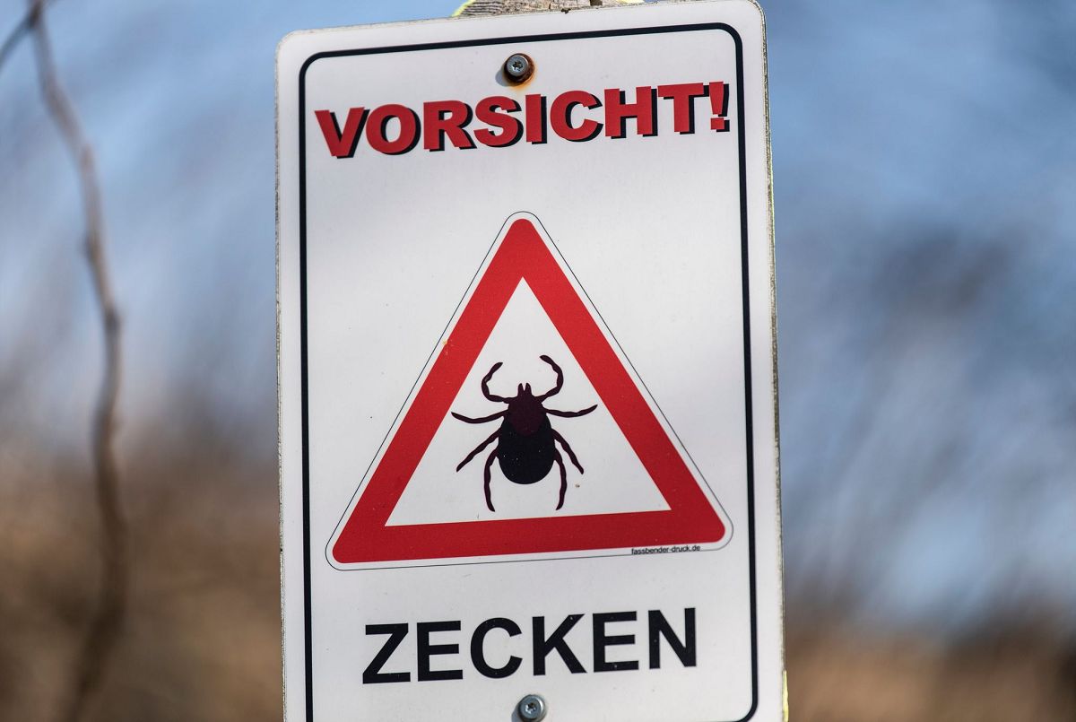 (Foto: Patrick Seeger/dpa)