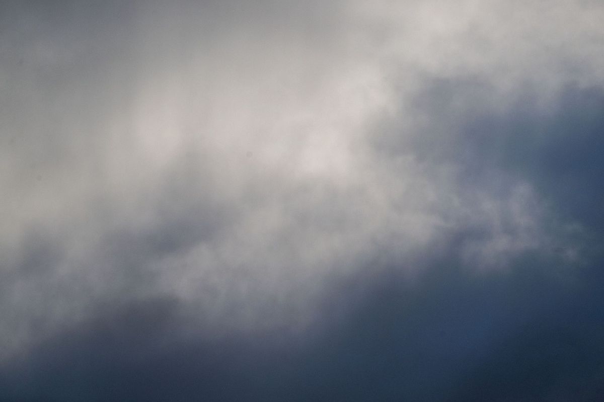 (Foto: Pia Bayer/dpa)