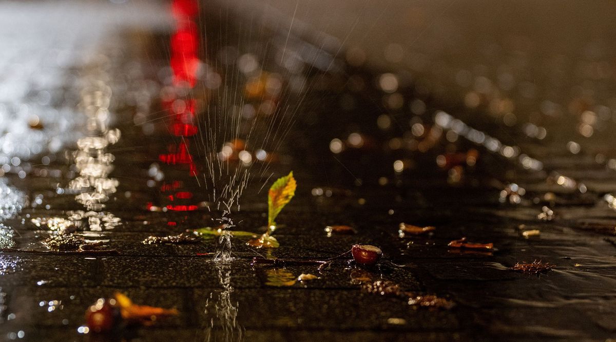 Herbstwetter in Rheinland-Pfalz. (Foto: Harald Tittel/dpa)