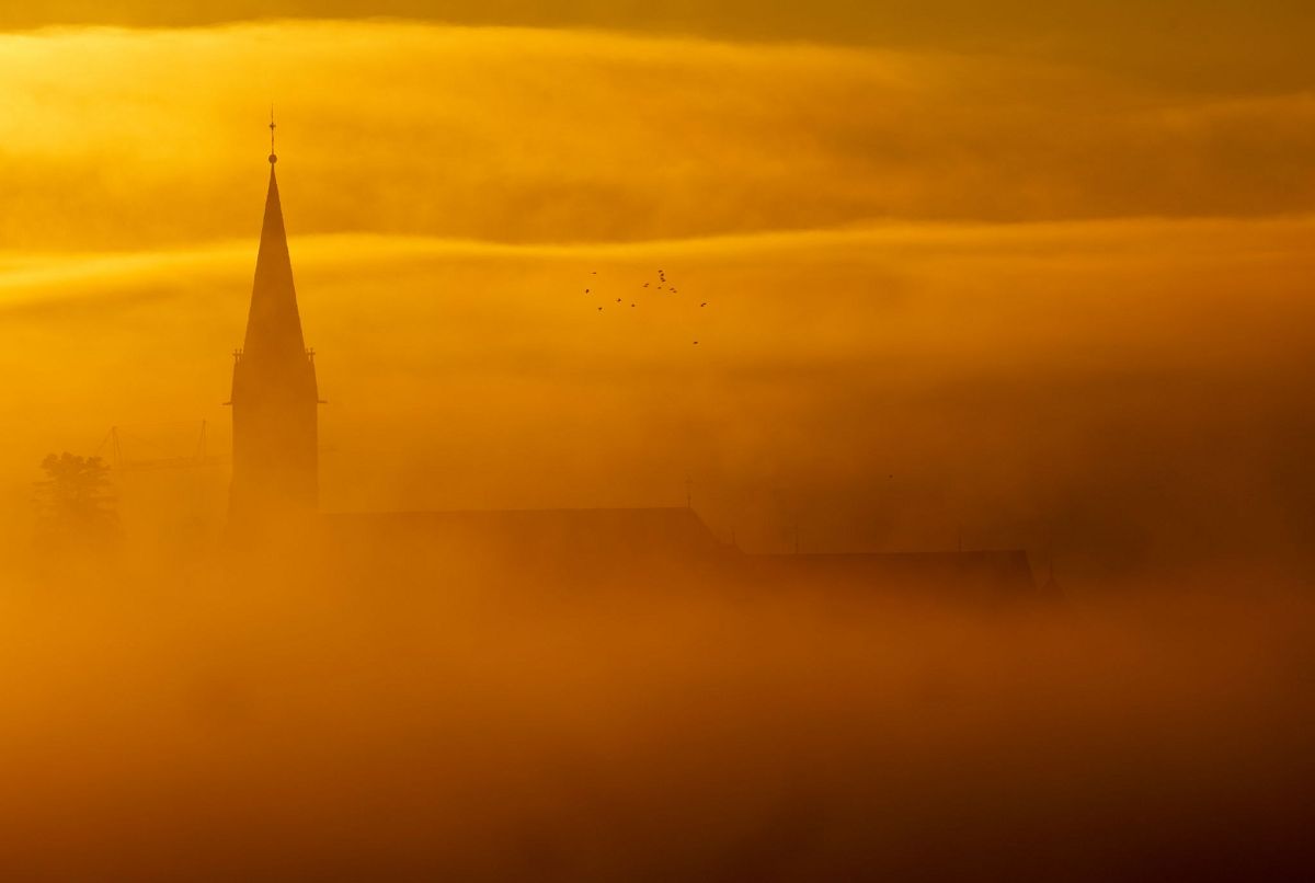 (Foto: Thomas Warnack/dpa)