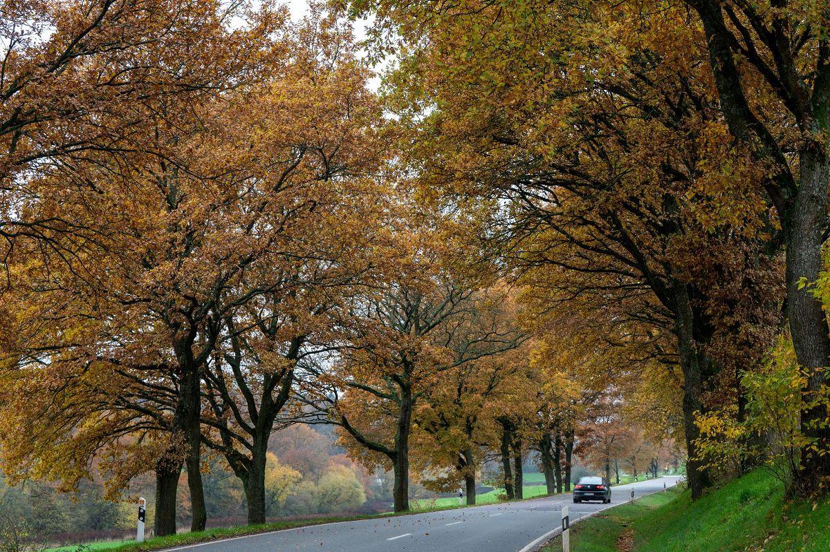 (Foto: Harald Tittel/dpa)