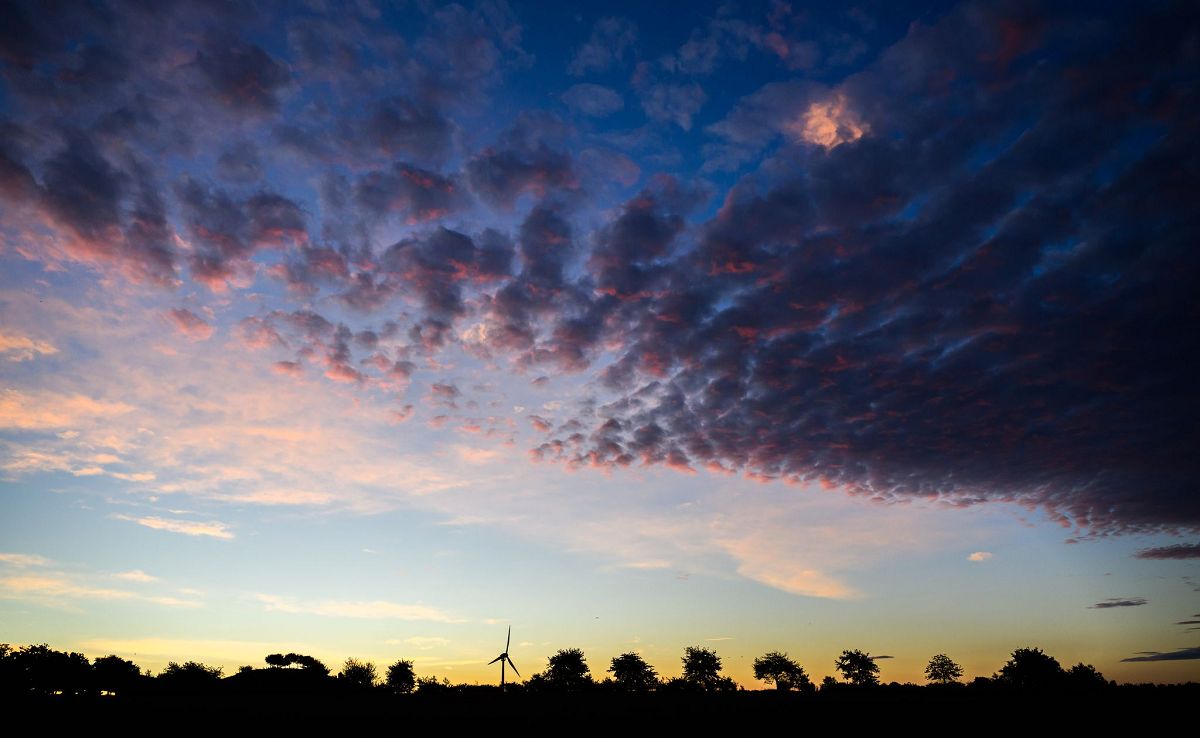 (Foto: Julian Stratenschulte/dpa)