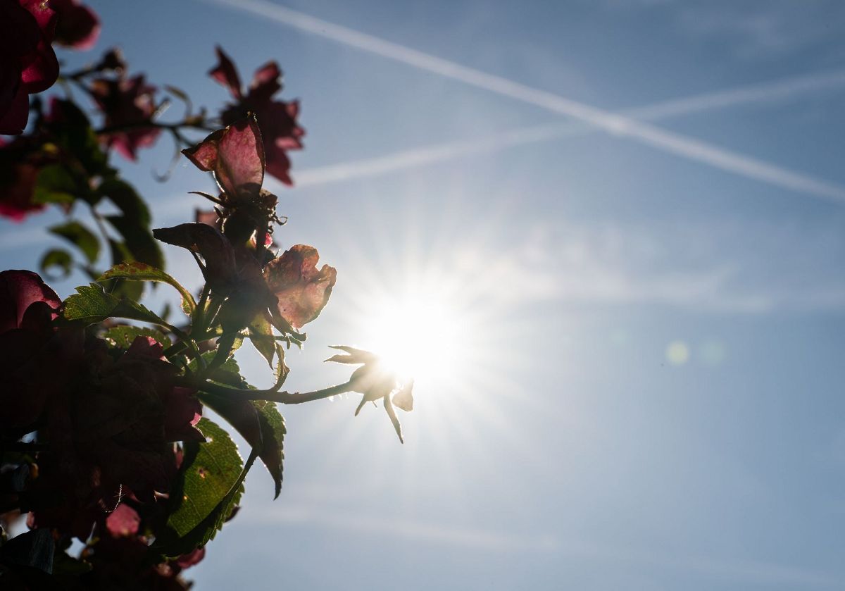 (Foto: Hannes P. Albert/dpa)