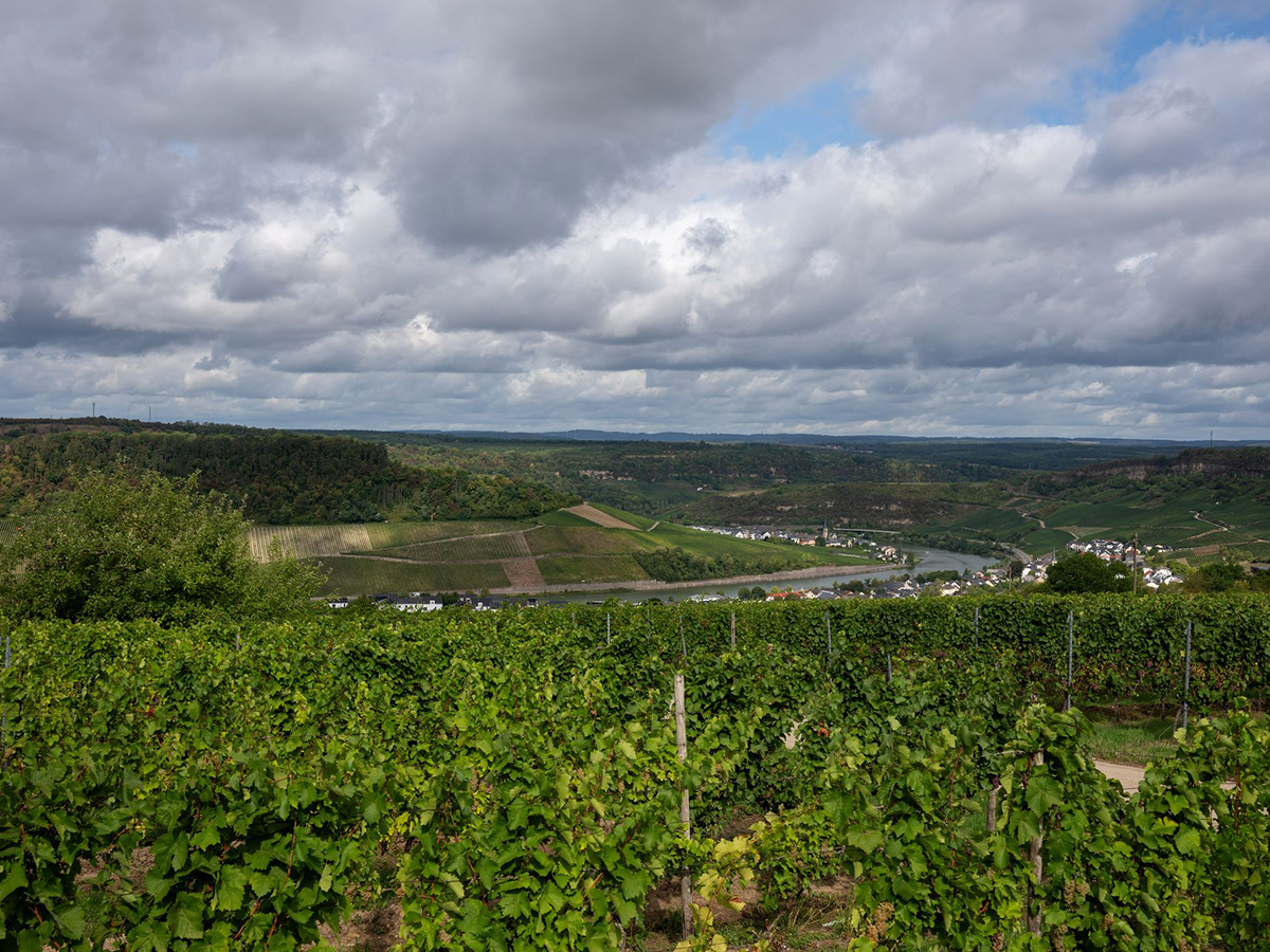 Regen und Sonne im Wechselspiel - Unbeständiges Wetter in Rheinland-Pfalz