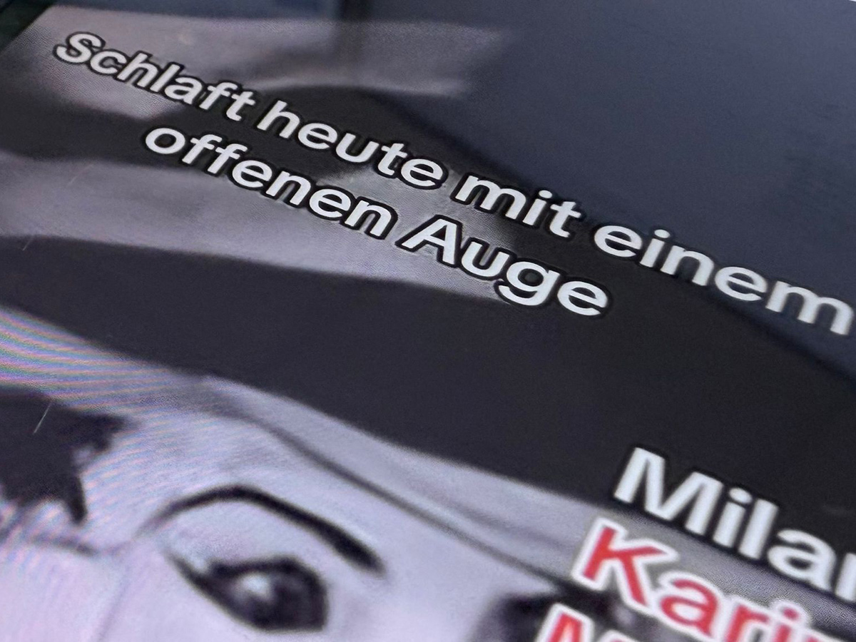 Horror-Katze macht Angst - Polizei pr�ft Videos. (Foto: Alina Gr�nky / dpa)