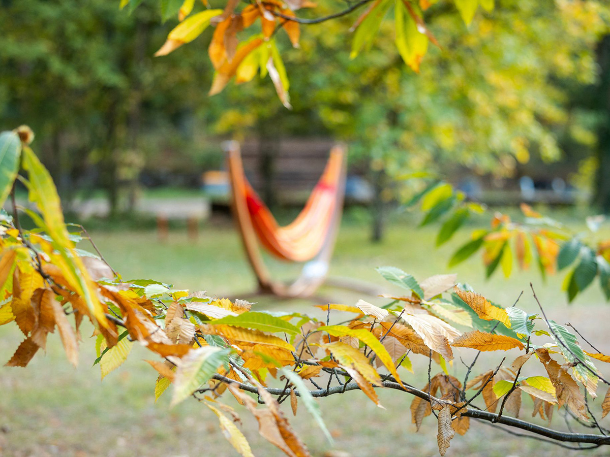 Herbstwetter in Rheinland-Pfalz: Sonne und Regen im Wechsel