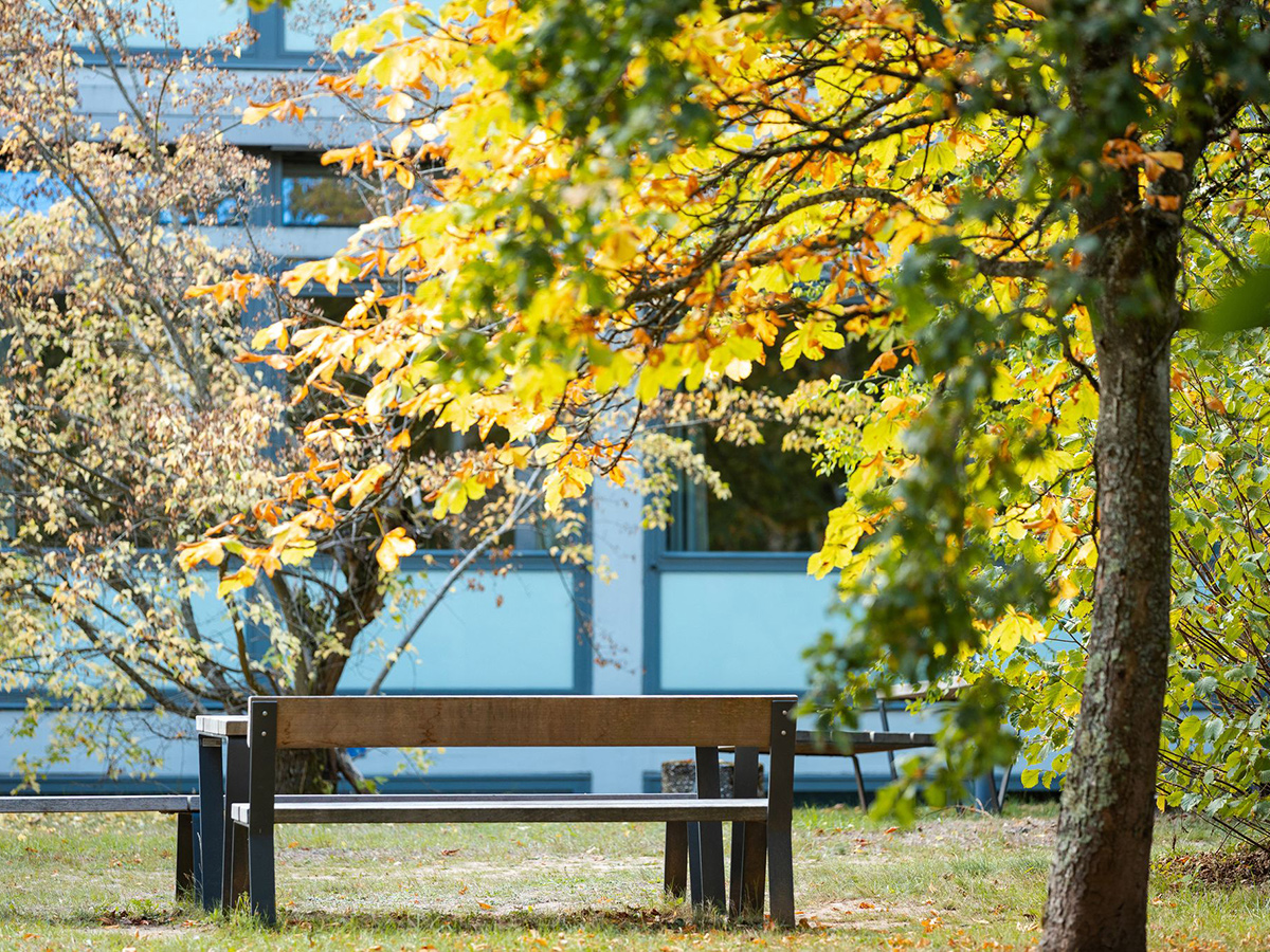 Mildes Herbstwetter in Rheinland-Pfalz: Sonne, Wolken und Nebel
