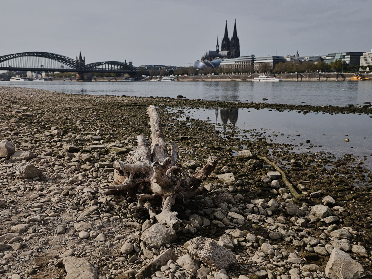 Niedrigwasser am Rhein in K�ln. (Foto: Oliver Berg/dpa)