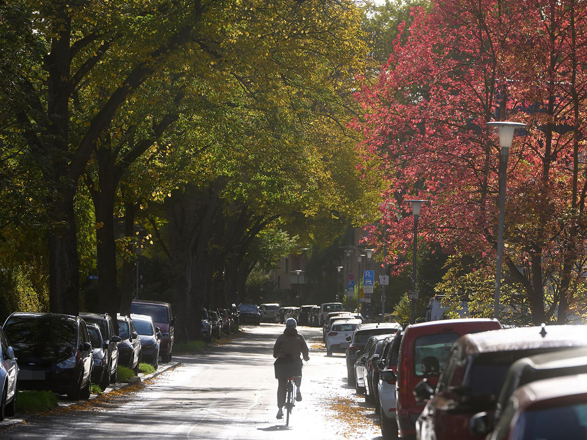 Ruhiges Herbstwetter in Rheinland-Pfalz: Sonne und Wolken im Wechsel