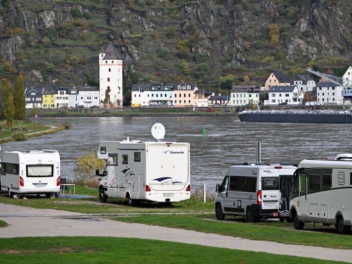 Campingpl�tze am Rhein (Foto: Arne Dedert/dpa)
