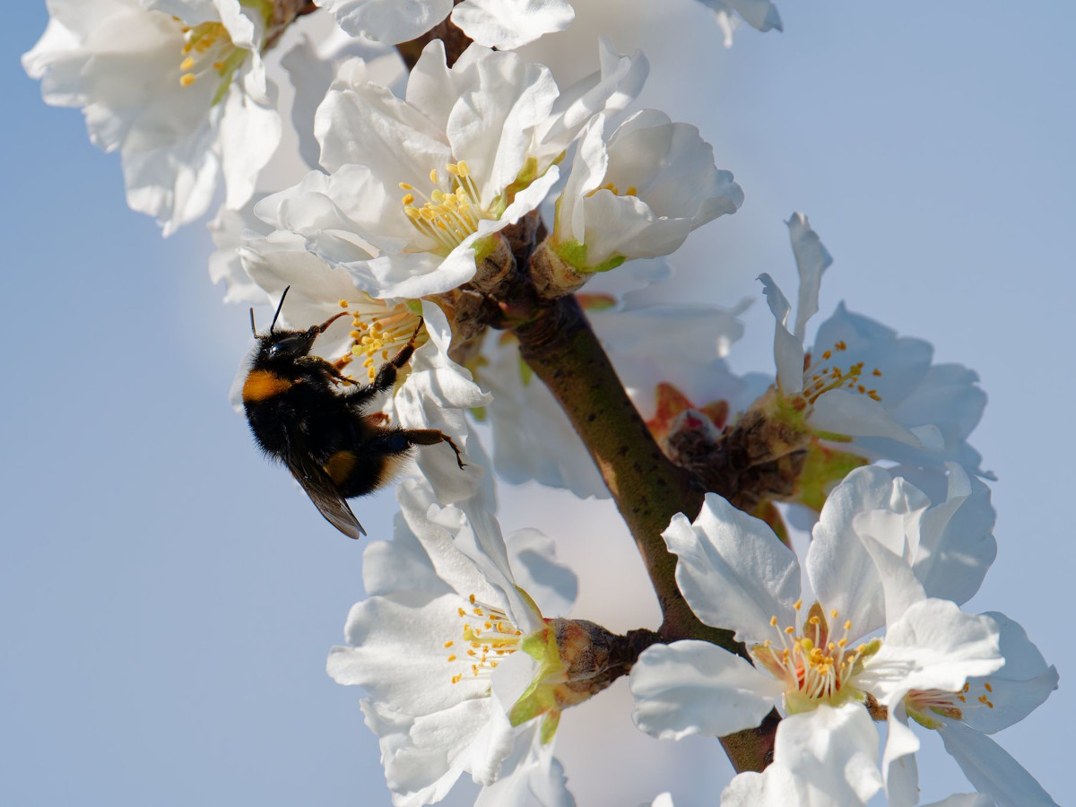 Foto: Uwe Anspach/dpa