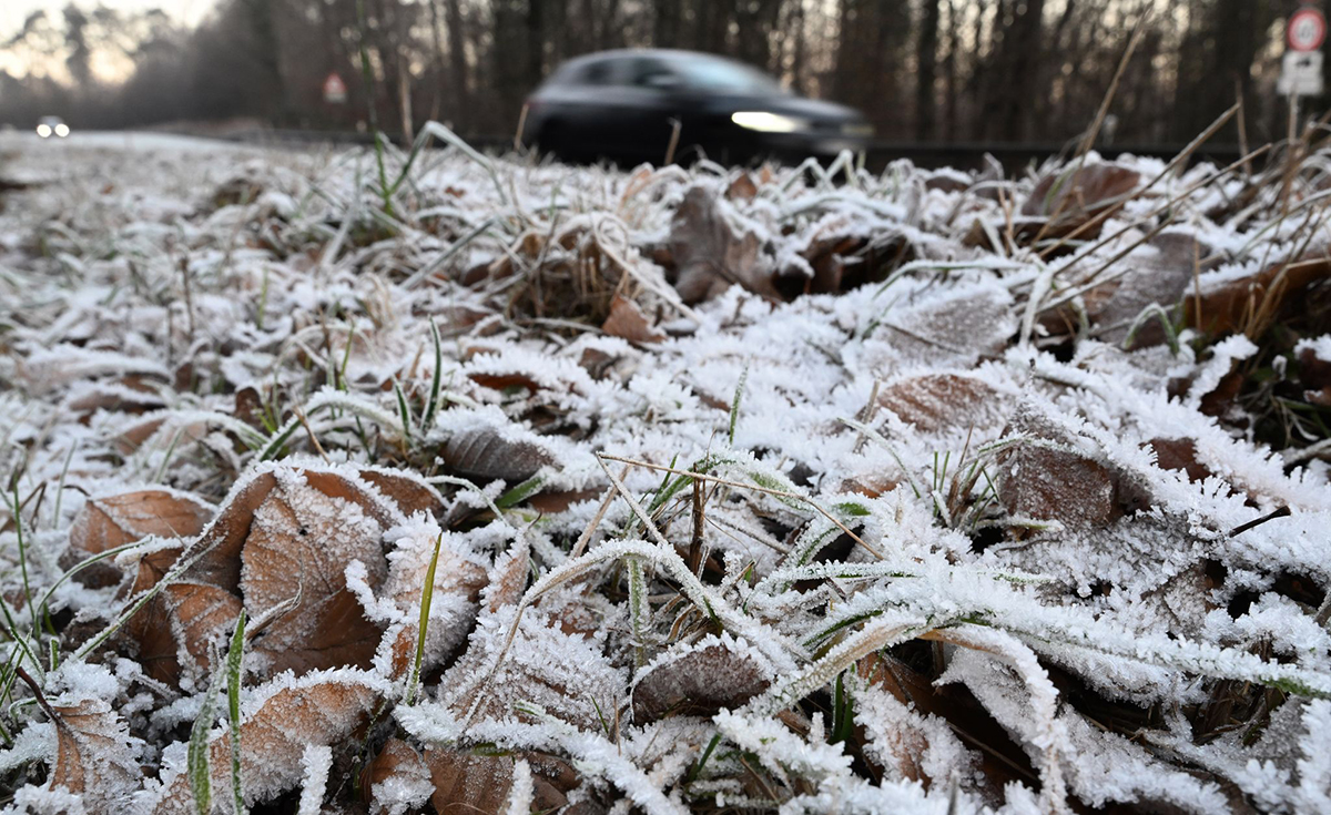Winterwetter. Foto: Bernd Wei�brod/dpa