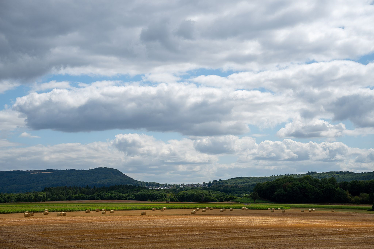 Wetter in Rheinland-Pfalz. Foto: Harald Tittel/dpa
