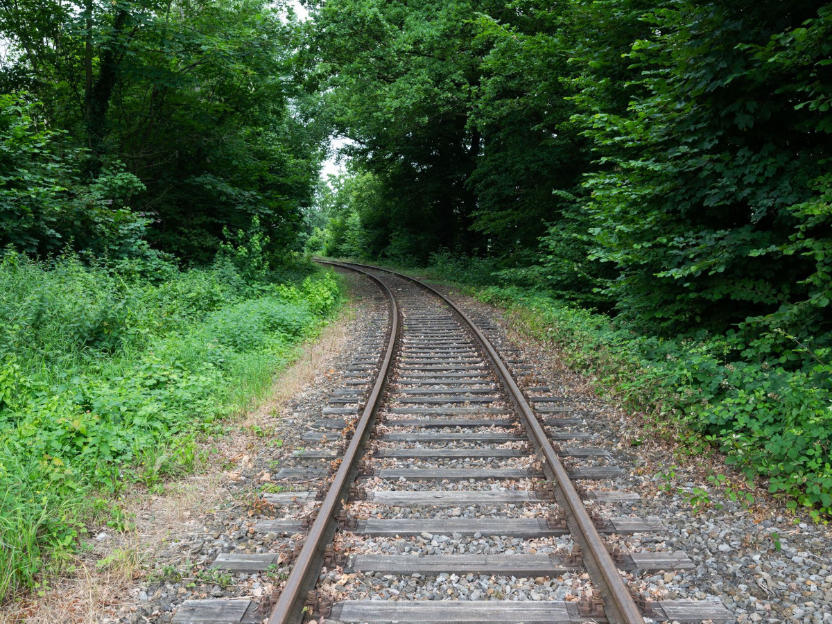 Zukunft der Mobilitt: Acht Bahnstrecken in Rheinland-Pfalz im Fokus