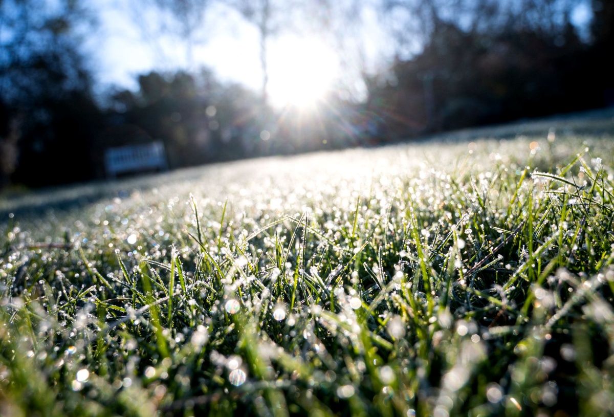 Frostiger Morgen (Foto: Daniel Bockwoldt/dpa)