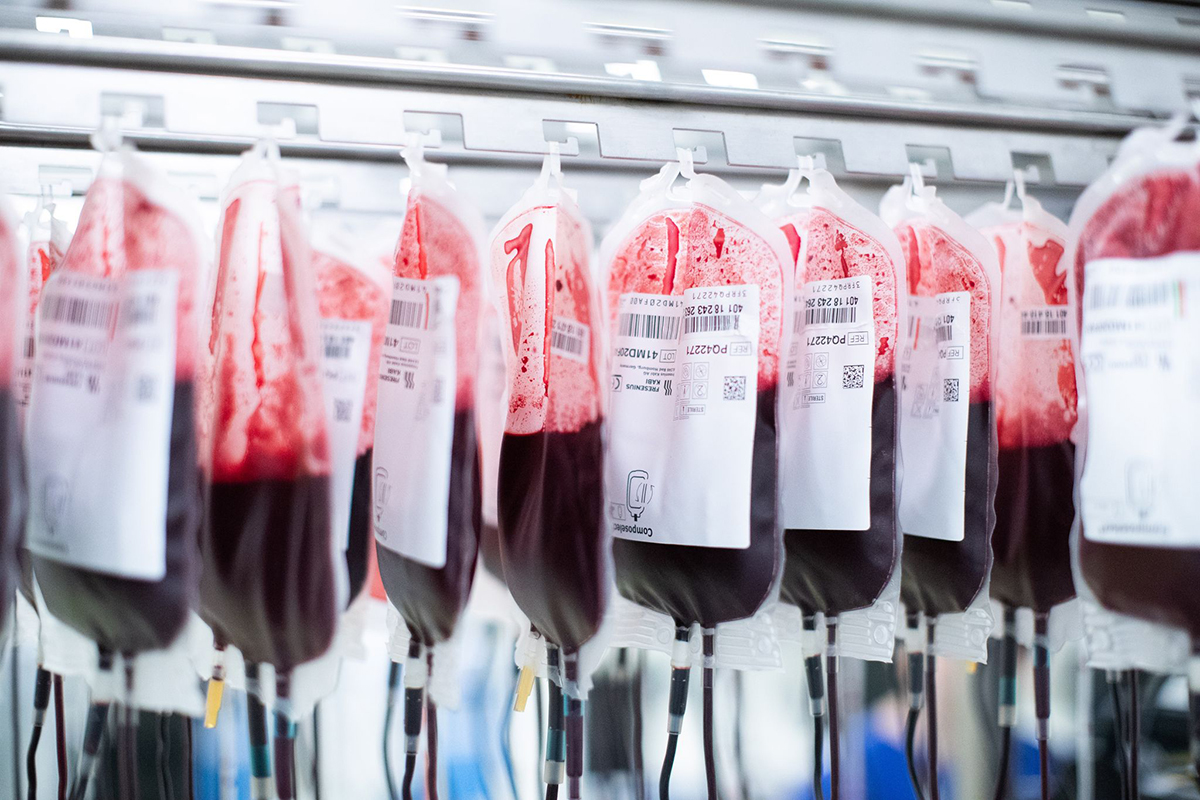 Blutbank. Foto: Marcel Kusch/dpa