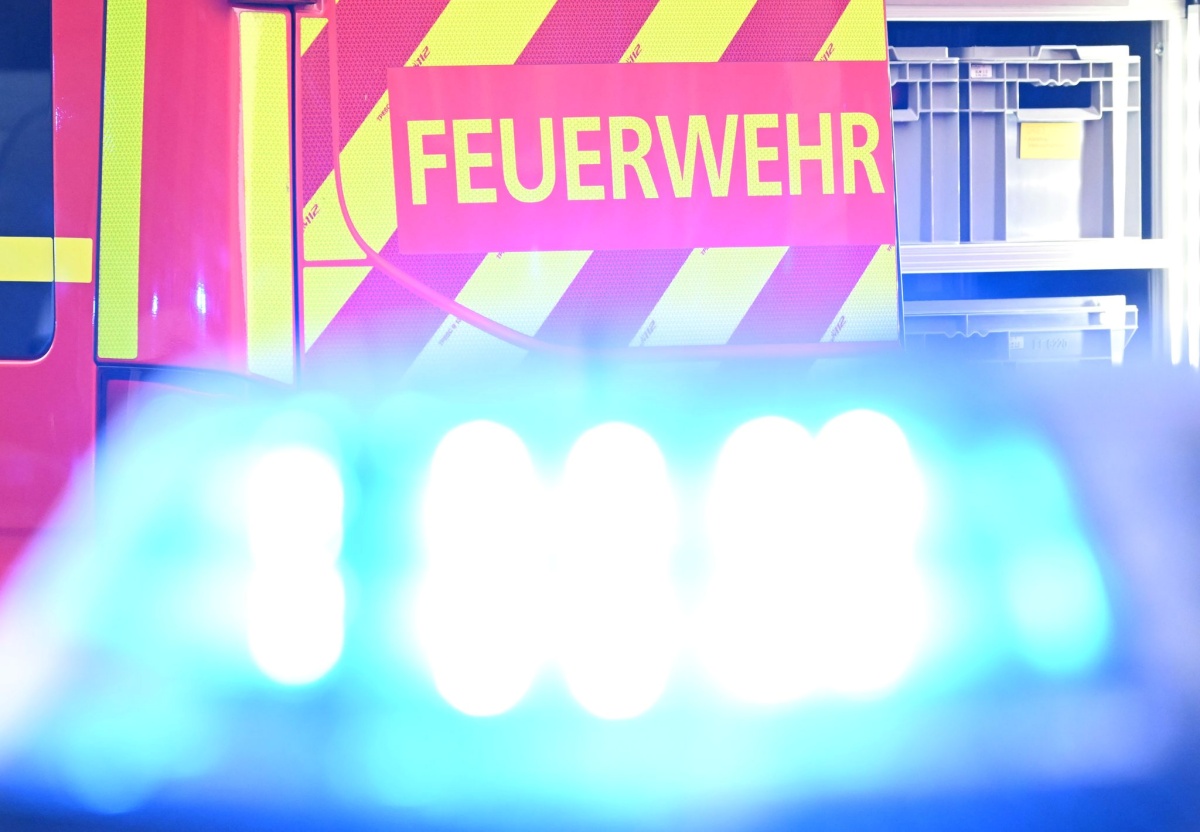 (Foto: Bernd Wei�brod/dpa)