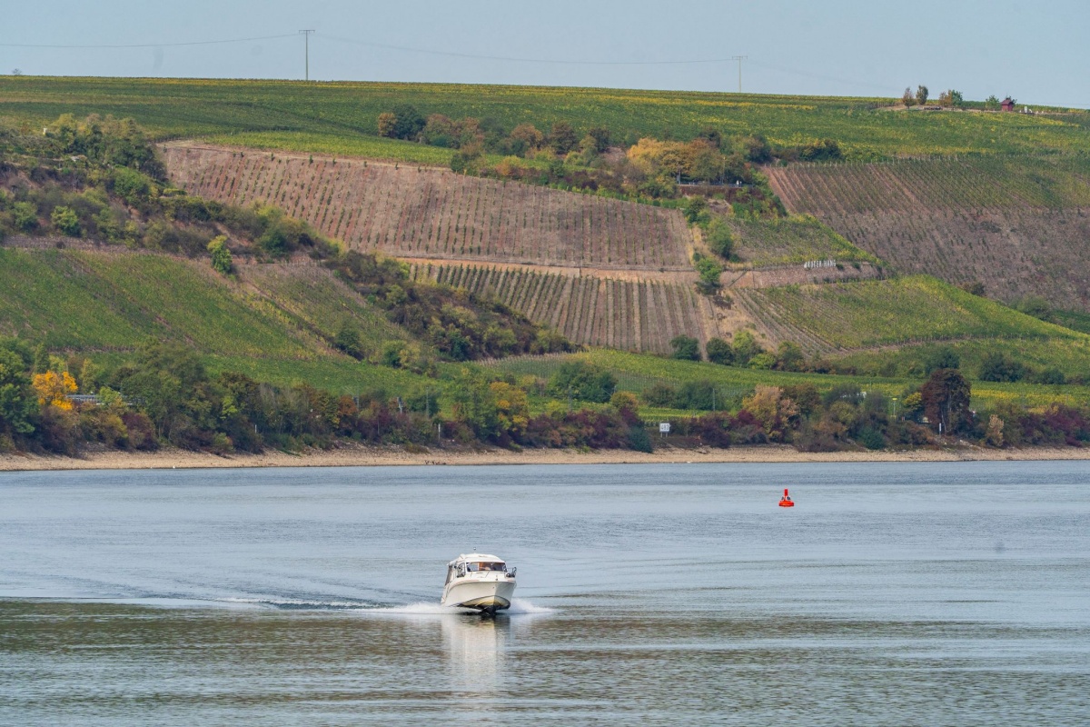 (Foto: Andreas Arnold/dpa)