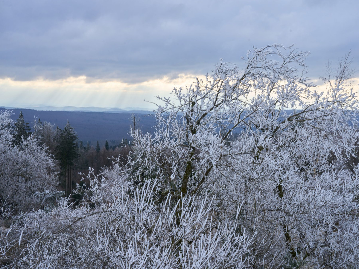 Wintersonne und frostige N�chte in Rheinland-Pfalz erwartet