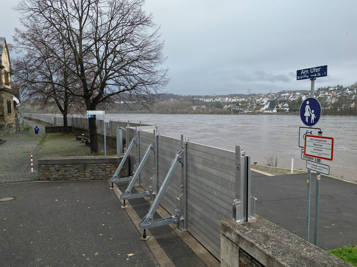 Hochwasser am Rhein. Foto: Thomas Frey/dpa